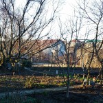 Симферополь, дача в массиве Живописное, так выглядит сад в декабре